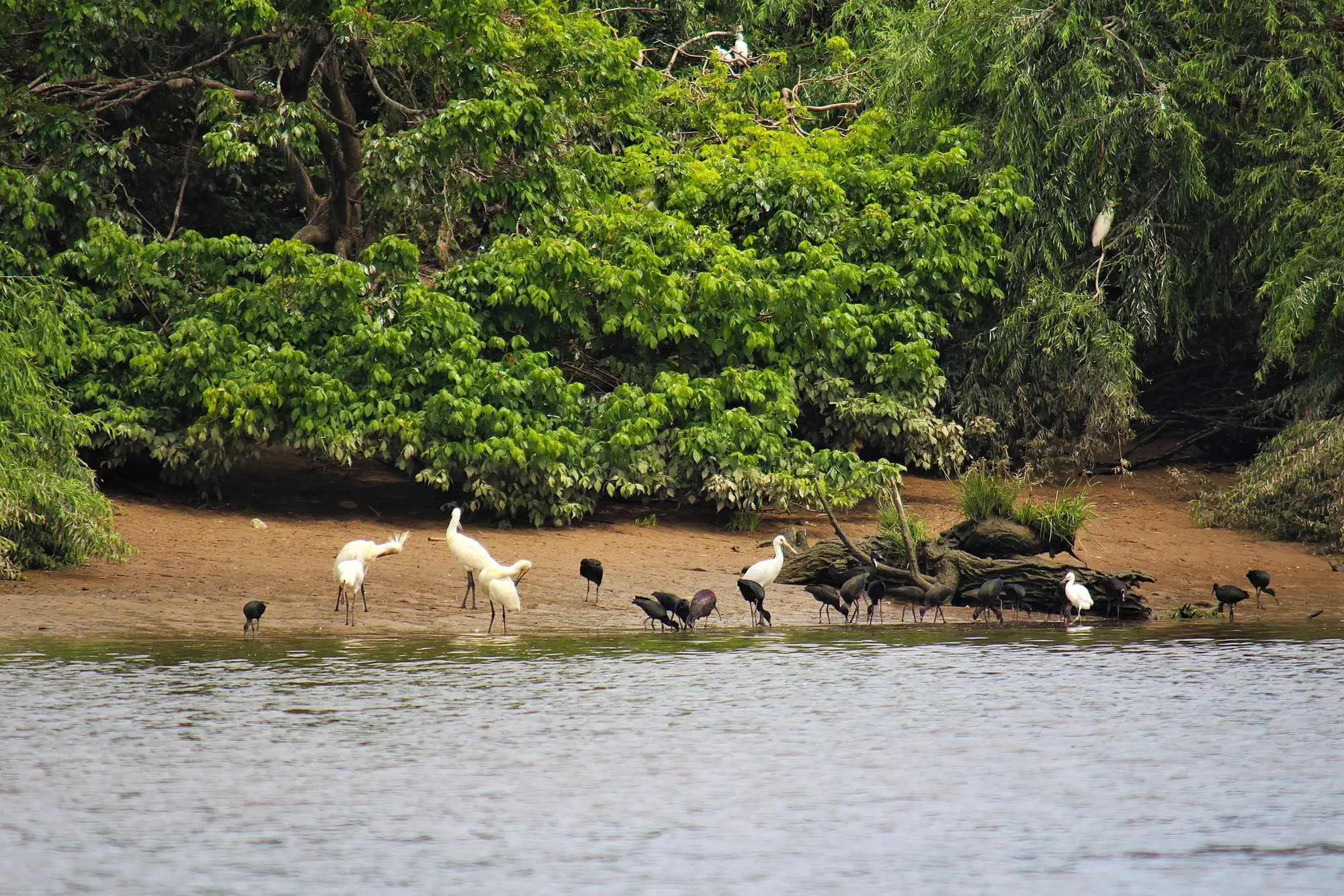 atividade em família